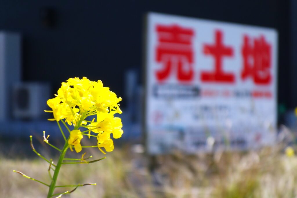 売り土地